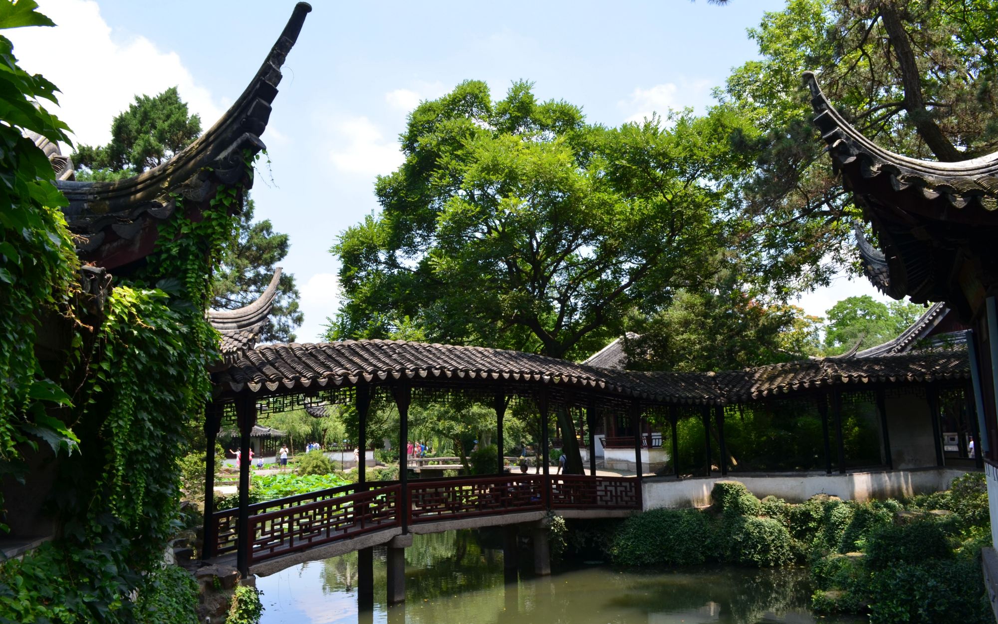 中华园林网(中华园林网苗木求购信息)